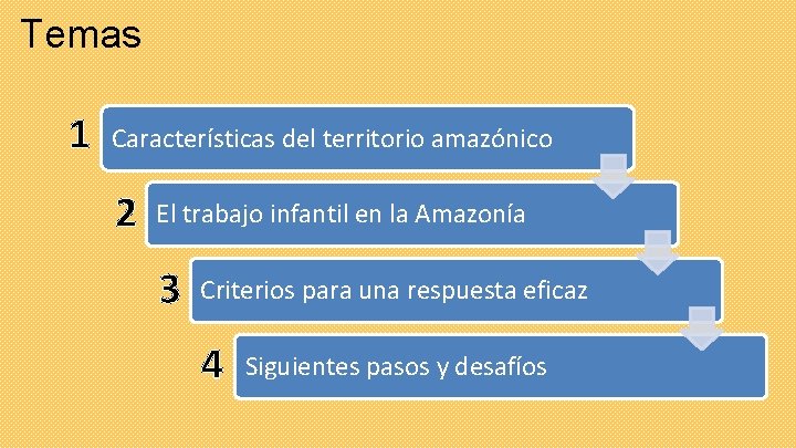 Temas 1 Características del territorio amazónico 2 El trabajo infantil en la Amazonía 3
