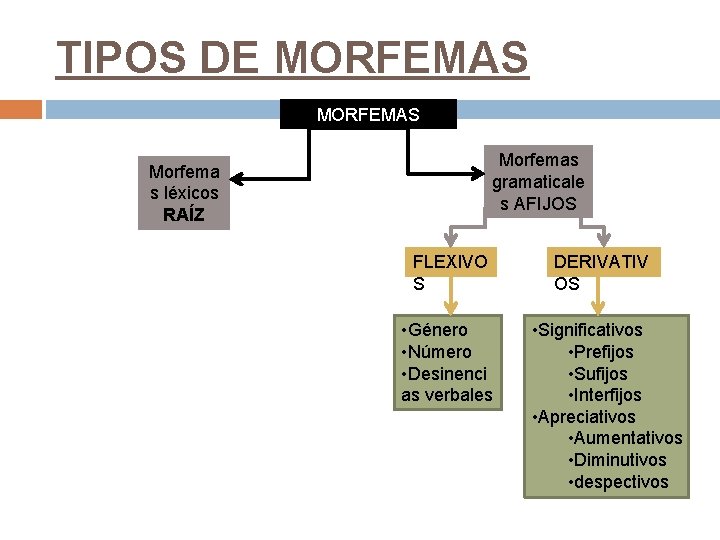 TIPOS DE MORFEMAS Morfemas gramaticale s AFIJOS Morfema s léxicos RAÍZ FLEXIVO S •