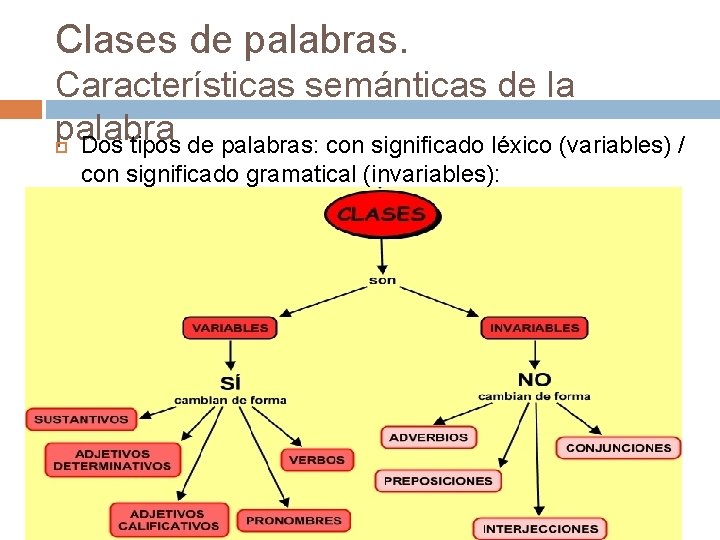 Clases de palabras. Características semánticas de la palabra Dos tipos de palabras: con significado