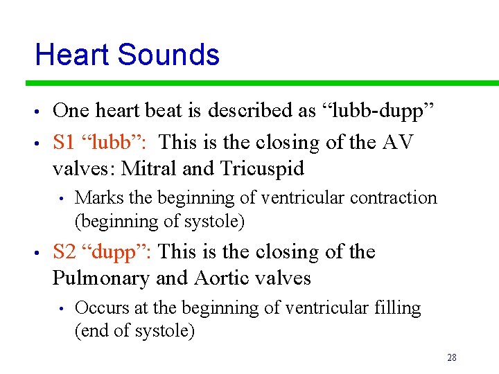 Heart Sounds • • One heart beat is described as “lubb-dupp” S 1 “lubb”:
