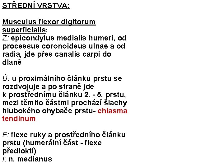 STŘEDNÍ VRSTVA: Musculus flexor digitorum superficialis: Z: epicondylus medialis humeri, od processus coronoideus ulnae