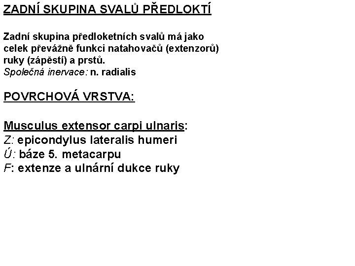 ZADNÍ SKUPINA SVALŮ PŘEDLOKTÍ Zadní skupina předloketních svalů má jako celek převážně funkci natahovačů