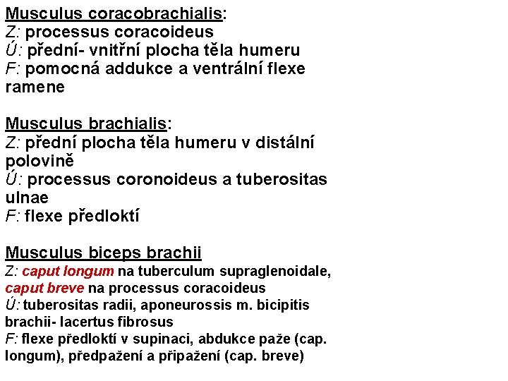 Musculus coracobrachialis: Z: processus coracoideus Ú: přední- vnitřní plocha těla humeru F: pomocná addukce