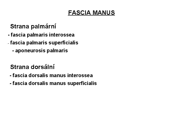 FASCIA MANUS • Strana palmární - fascia palmaris interossea - fascia palmaris superficialis -