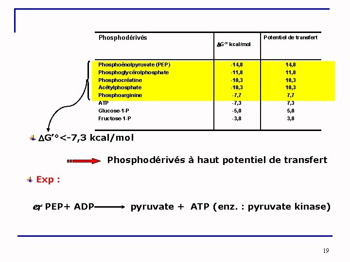 Phosphodérivés Phosphoénolpyruvate (PEP) Phosphoglycérolphosphate Phosphocréatine Acétylphosphate Phosphoarginine ATP Glucose-1 -P Fructose-1 -P Potentiel de
