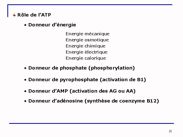  Rôle de l’ATP • Donneur d’énergie Energie mécanique Energie osmotique Energie chimique Energie