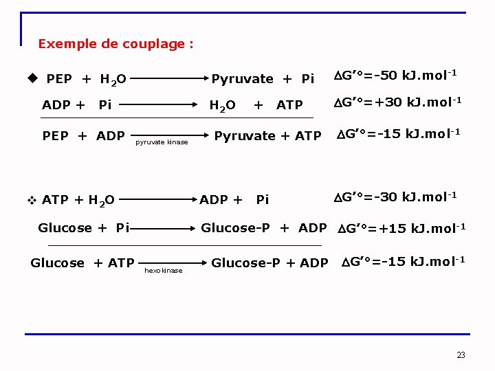 Exemple de couplage : PEP + H 2 O Pyruvate + Pi G’°=-50 k.