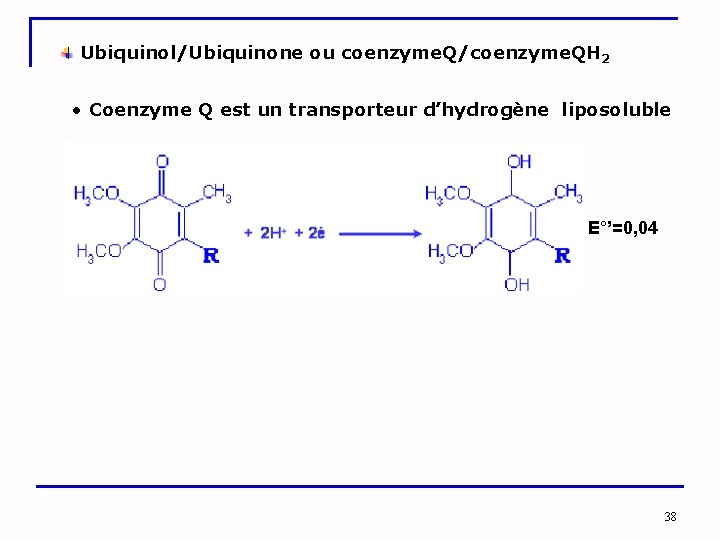  Ubiquinol/Ubiquinone ou coenzyme. Q/coenzyme. QH 2 • Coenzyme Q est un transporteur d’hydrogène