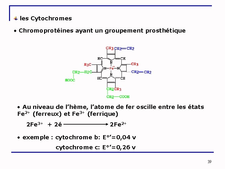  les Cytochromes • Chromoprotéines ayant un groupement prosthétique • Au niveau de l’hème,