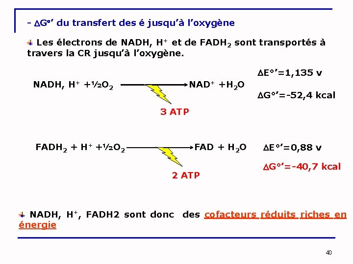 - G ’ du transfert des é jusqu’à l’oxygène Les électrons de NADH, H+