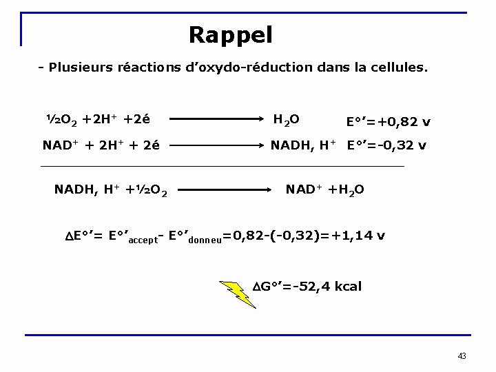 Rappel - Plusieurs réactions d’oxydo-réduction dans la cellules. ½O 2 +2 H+ +2é H