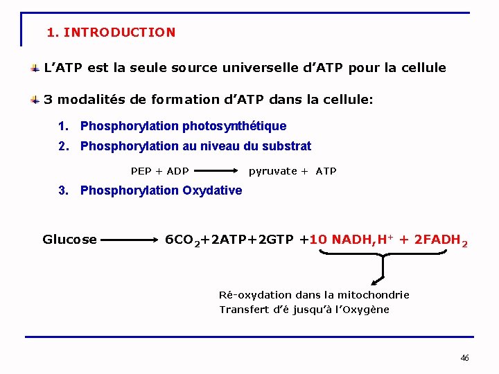 1. INTRODUCTION L’ATP est la seule source universelle d’ATP pour la cellule 3 modalités