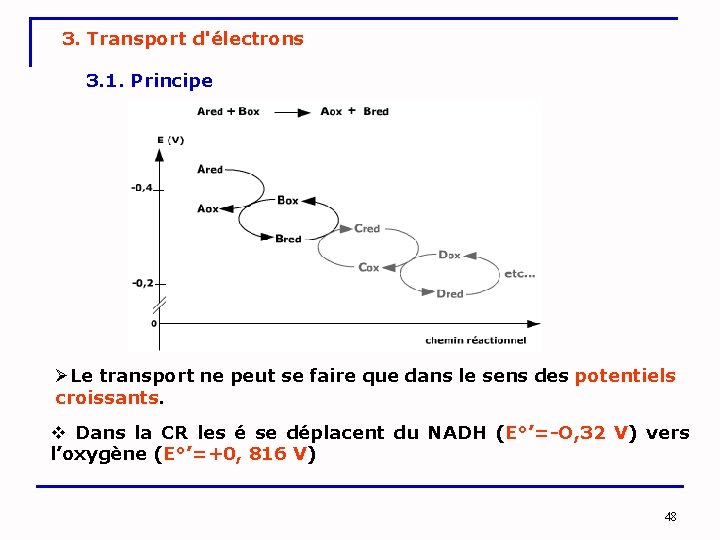 3. Transport d'électrons 3. 1. Principe ØLe transport ne peut se faire que dans