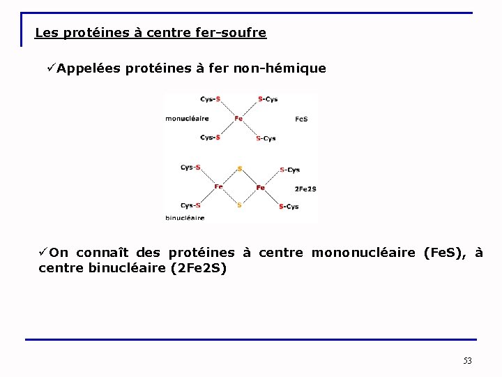 Les protéines à centre fer-soufre üAppelées protéines à fer non-hémique üOn connaît des protéines