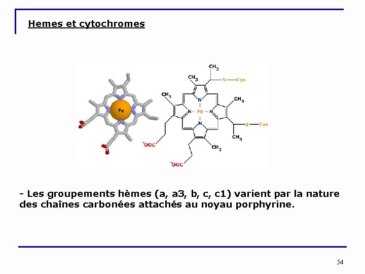 Hemes et cytochromes - Les groupements hèmes (a, a 3, b, c, c 1)