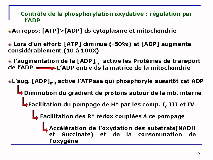 - Contrôle de la phosphorylation oxydative : régulation par l’ADP Au repos: [ATP]>[ADP] ds