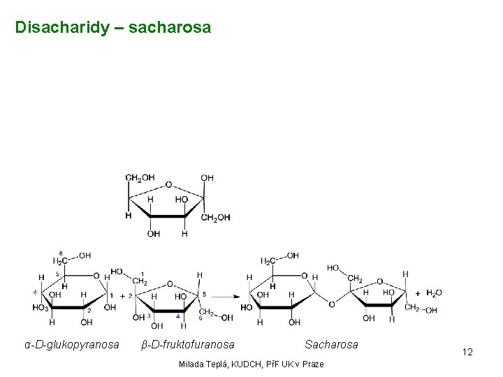 Disacharidy – sacharosa α-D-glukopyranosa β-D-fruktofuranosa Sacharosa Milada Teplá, KUDCH, PřF UK v Praze 12