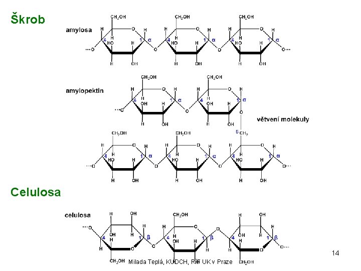 Škrob Celulosa 14 Milada Teplá, KUDCH, PřF UK v Praze 