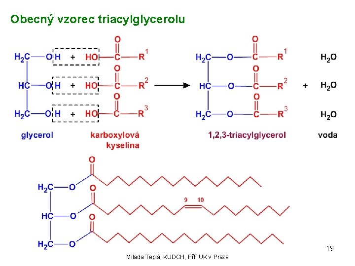 Obecný vzorec triacylglycerolu 19 Milada Teplá, KUDCH, PřF UK v Praze 