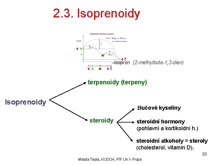 2. 3. Isoprenoidy Isopren (2 -methylbuta-1, 3 -dien) terpenoidy (terpeny) Isoprenoidy žlučové kyseliny steroidní