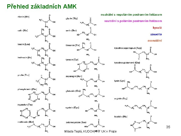 Přehled základních AMK 35 Milada Teplá, KUDCH, PřF UK v Praze 