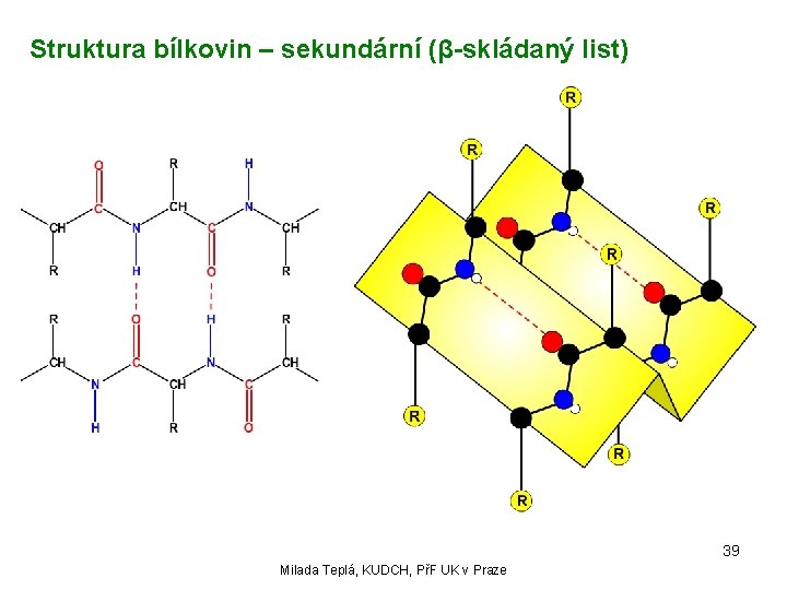 Struktura bílkovin – sekundární (β-skládaný list) 39 Milada Teplá, KUDCH, PřF UK v Praze