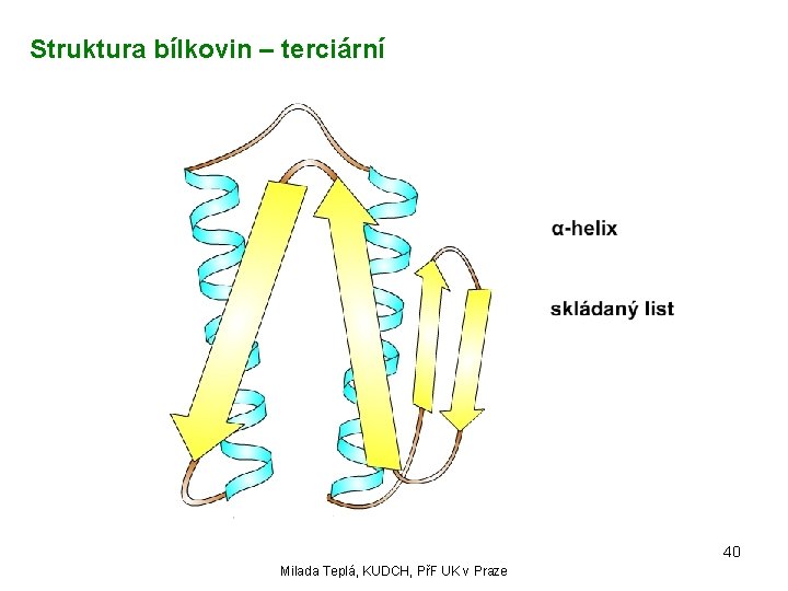 Struktura bílkovin – terciární 40 Milada Teplá, KUDCH, PřF UK v Praze 