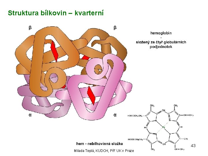 Struktura bílkovin – kvarterní 43 Milada Teplá, KUDCH, PřF UK v Praze 