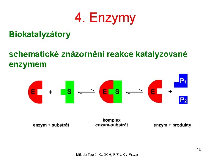 4. Enzymy Biokatalyzátory schematické znázornění reakce katalyzované enzymem 48 Milada Teplá, KUDCH, PřF UK