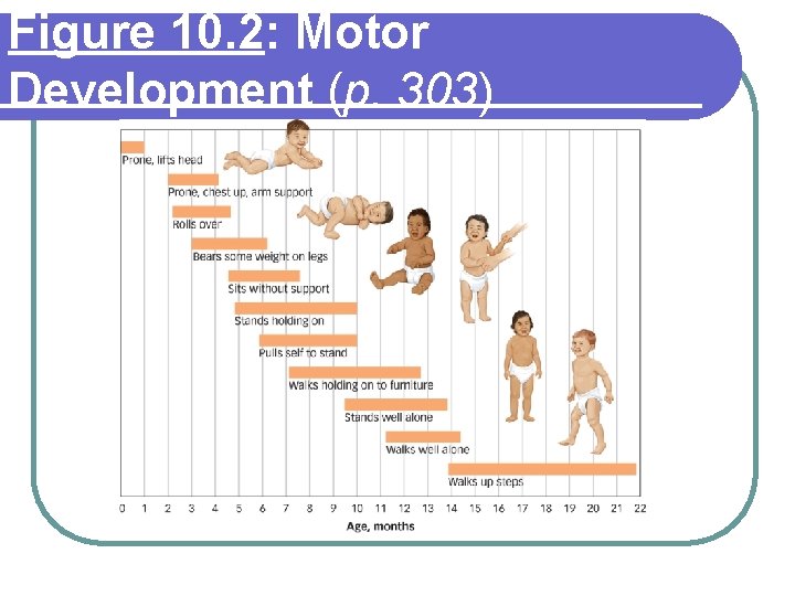 Figure 10. 2: Motor Development (p. 303) 