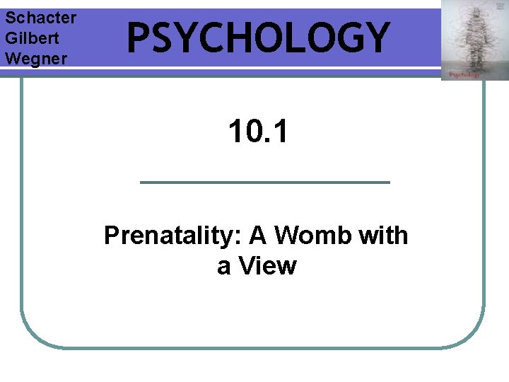 Schacter Gilbert Wegner PSYCHOLOGY 10. 1 Prenatality: A Womb with a View 