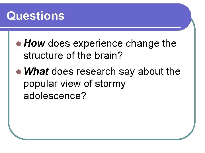 Questions l How does experience change the structure of the brain? l What does