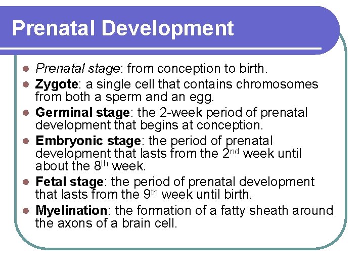 Prenatal Development l l l Prenatal stage: from conception to birth. Zygote: a single