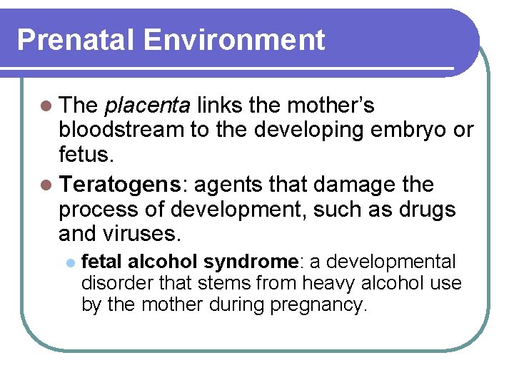 Prenatal Environment l The placenta links the mother’s bloodstream to the developing embryo or