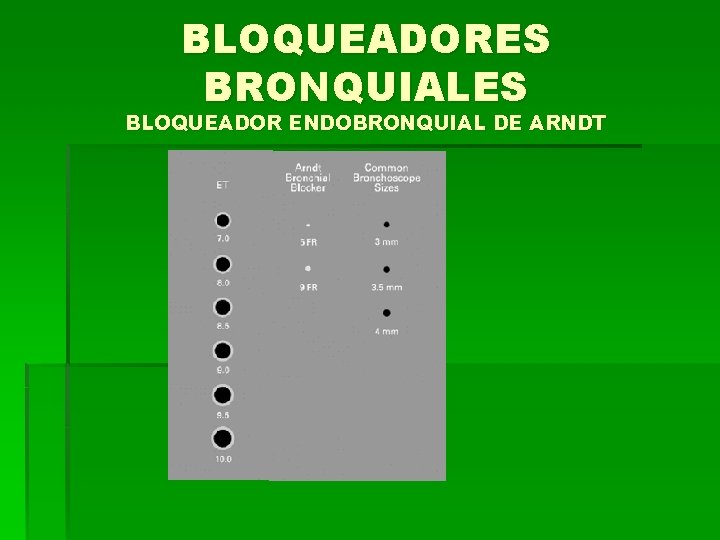 BLOQUEADORES BRONQUIALES BLOQUEADOR ENDOBRONQUIAL DE ARNDT 