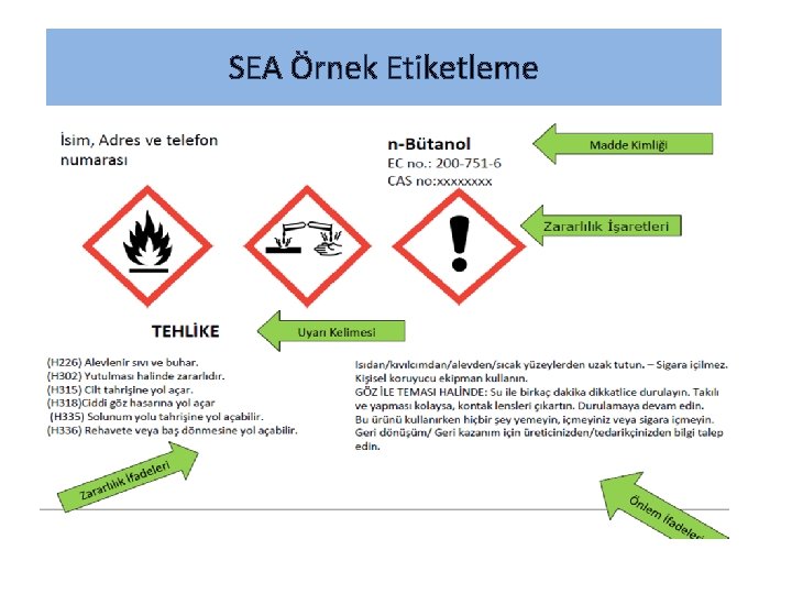 SEA Örnek Etiketleme 