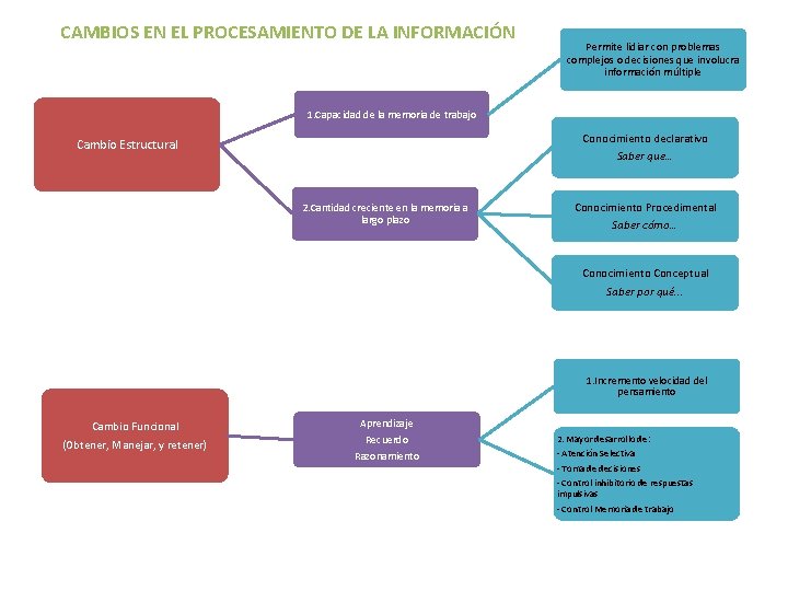 CAMBIOS EN EL PROCESAMIENTO DE LA INFORMACIÓN Permite lidiar con problemas complejos o decisiones