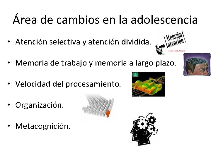 Área de cambios en la adolescencia • Atención selectiva y atención dividida. • Memoria