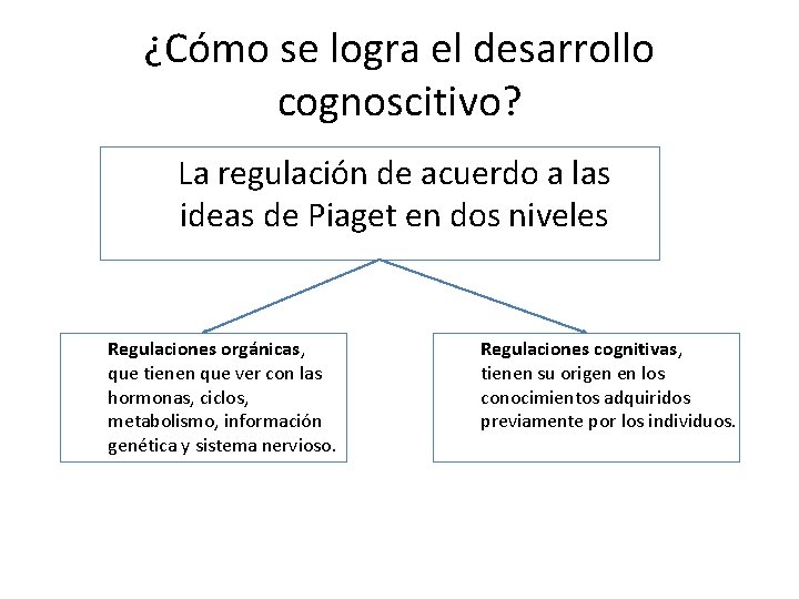 ¿Cómo se logra el desarrollo cognoscitivo? La regulación de acuerdo a las ideas de