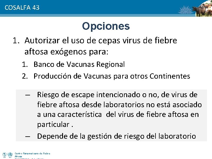 COSALFA 43 Opciones 1. Autorizar el uso de cepas virus de fiebre aftosa exógenos