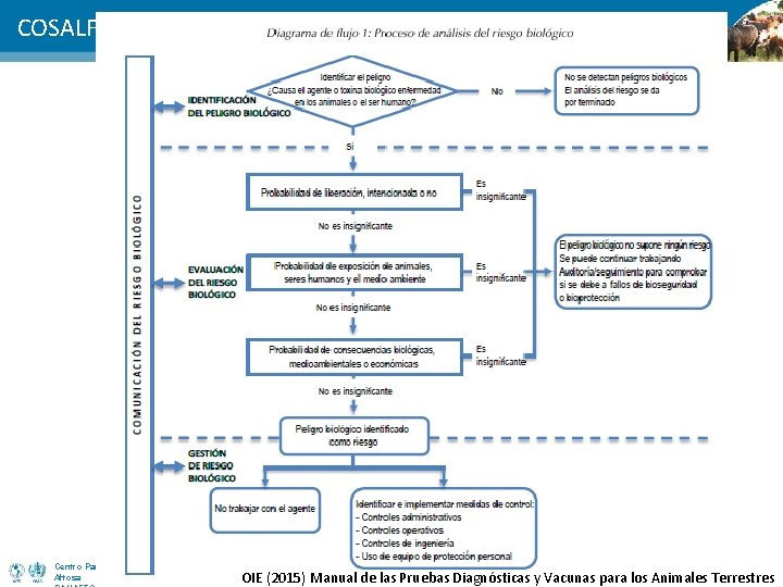 COSALFA 43 Centro Panamericano de Fiebre Aftosa OIE (2015) Manual de las Pruebas Diagnósticas