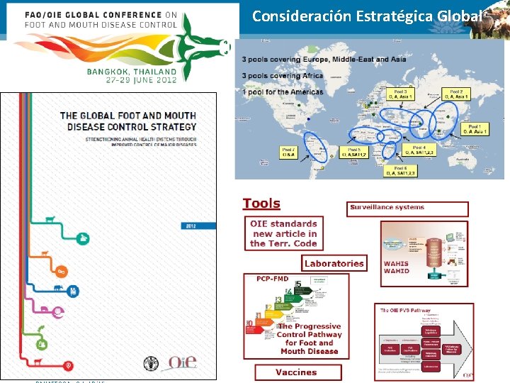 COSALFA 43 Centro Panamericano de Fiebre Aftosa Consideración Estratégica Global 