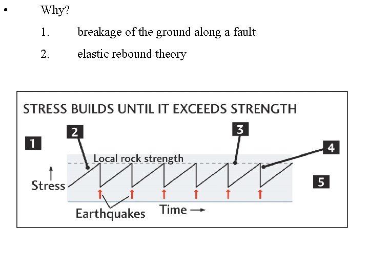  • Why? 1. breakage of the ground along a fault 2. elastic rebound