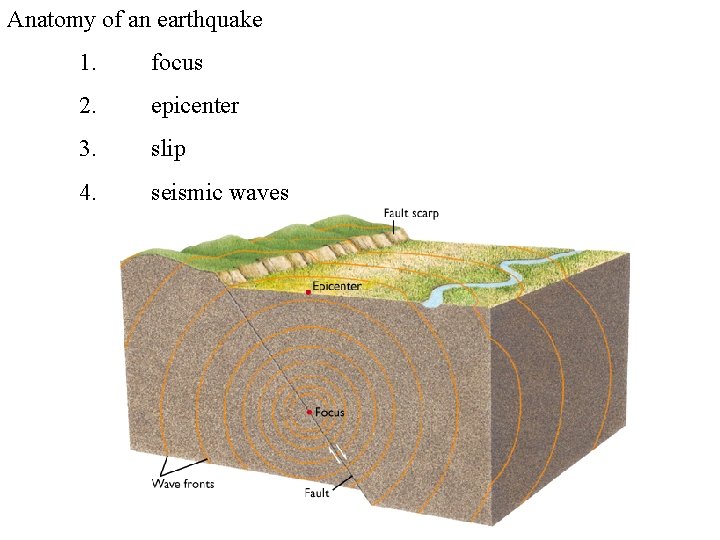 Anatomy of an earthquake 1. focus 2. epicenter 3. slip 4. seismic waves 