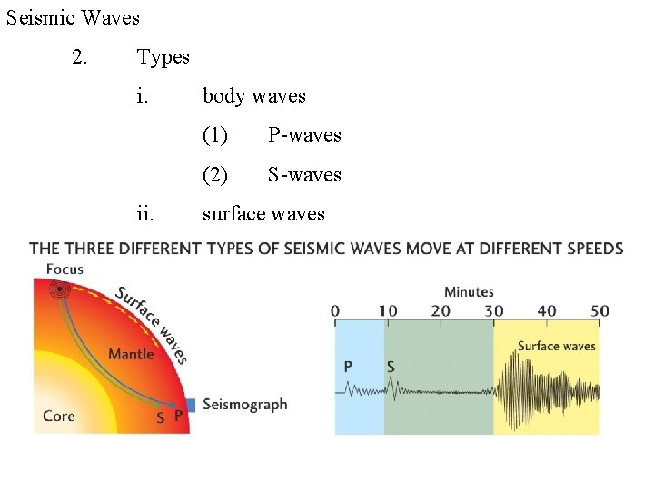 Seismic Waves 2. Types i. ii. body waves (1) P-waves (2) S-waves surface waves