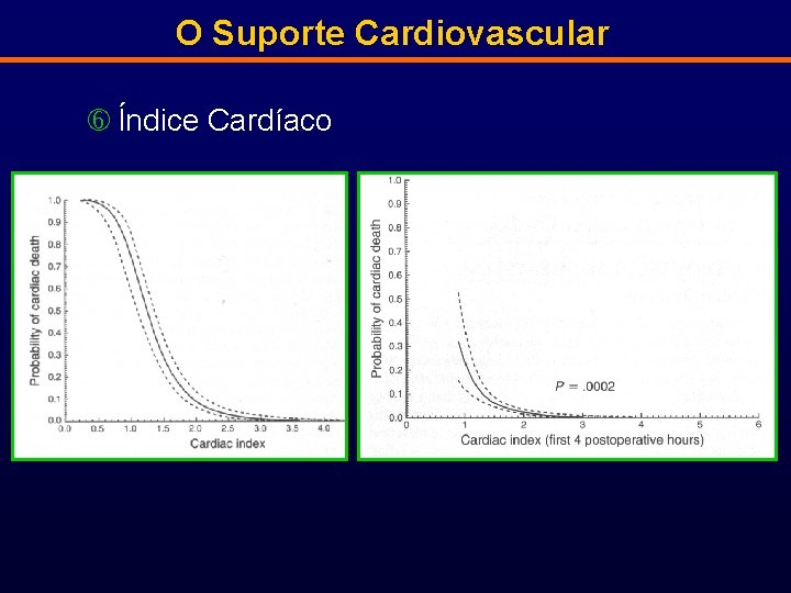 O Suporte Cardiovascular Índice Cardíaco 