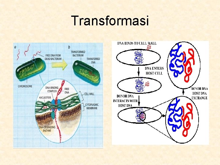 Transformasi 