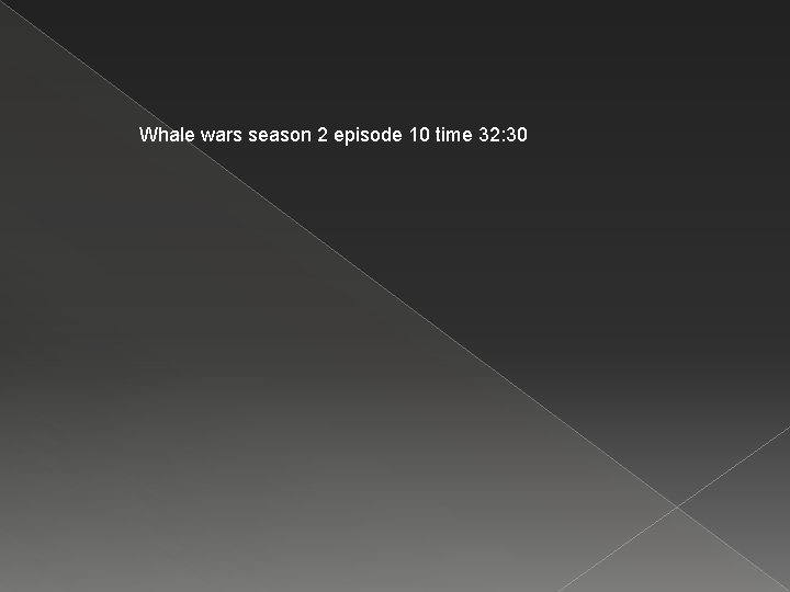 Whale wars season 2 episode 10 time 32: 30 