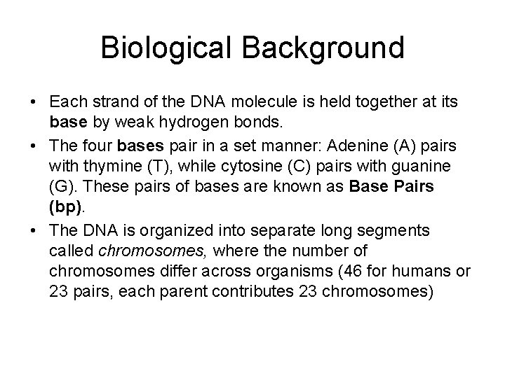 Biological Background • Each strand of the DNA molecule is held together at its