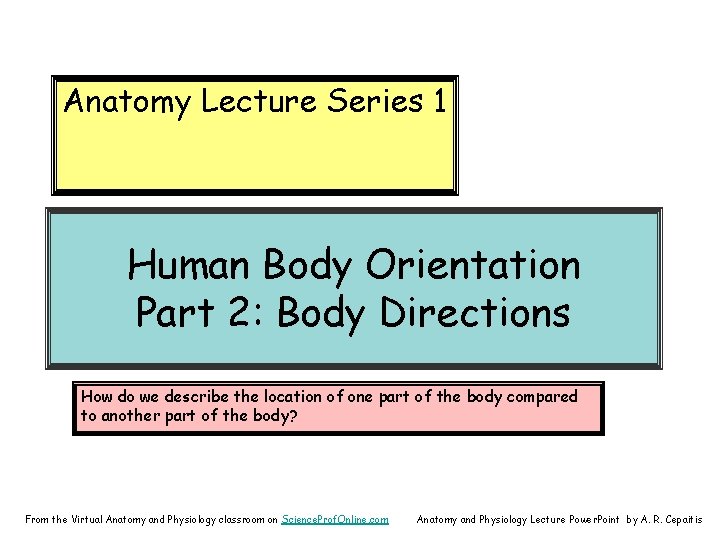 Anatomy Lecture Series 1 Human Body Orientation Part 2: Body Directions How do we